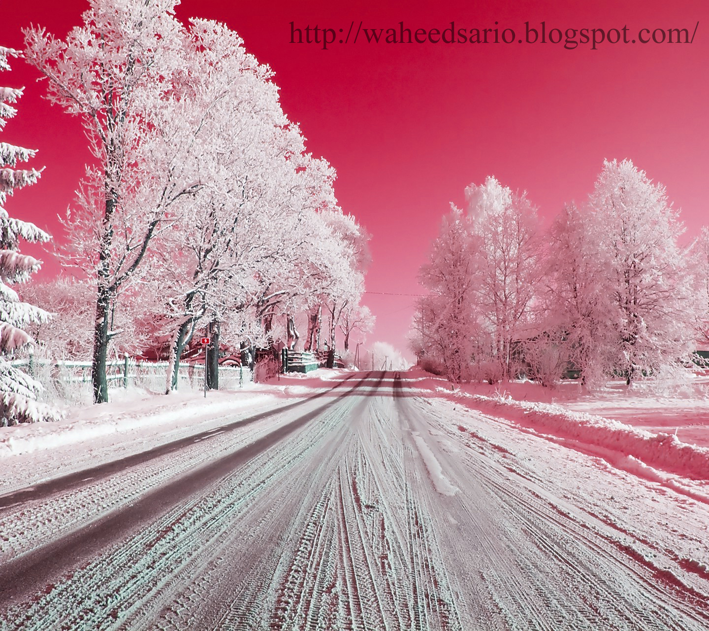 Winter Wallpaper Hd Zedge - New Zedge Wallpapers Hd - HD Wallpaper 