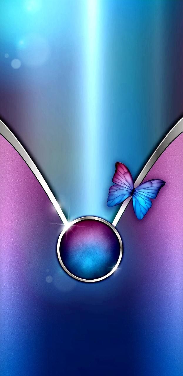 Still Life Photography - HD Wallpaper 