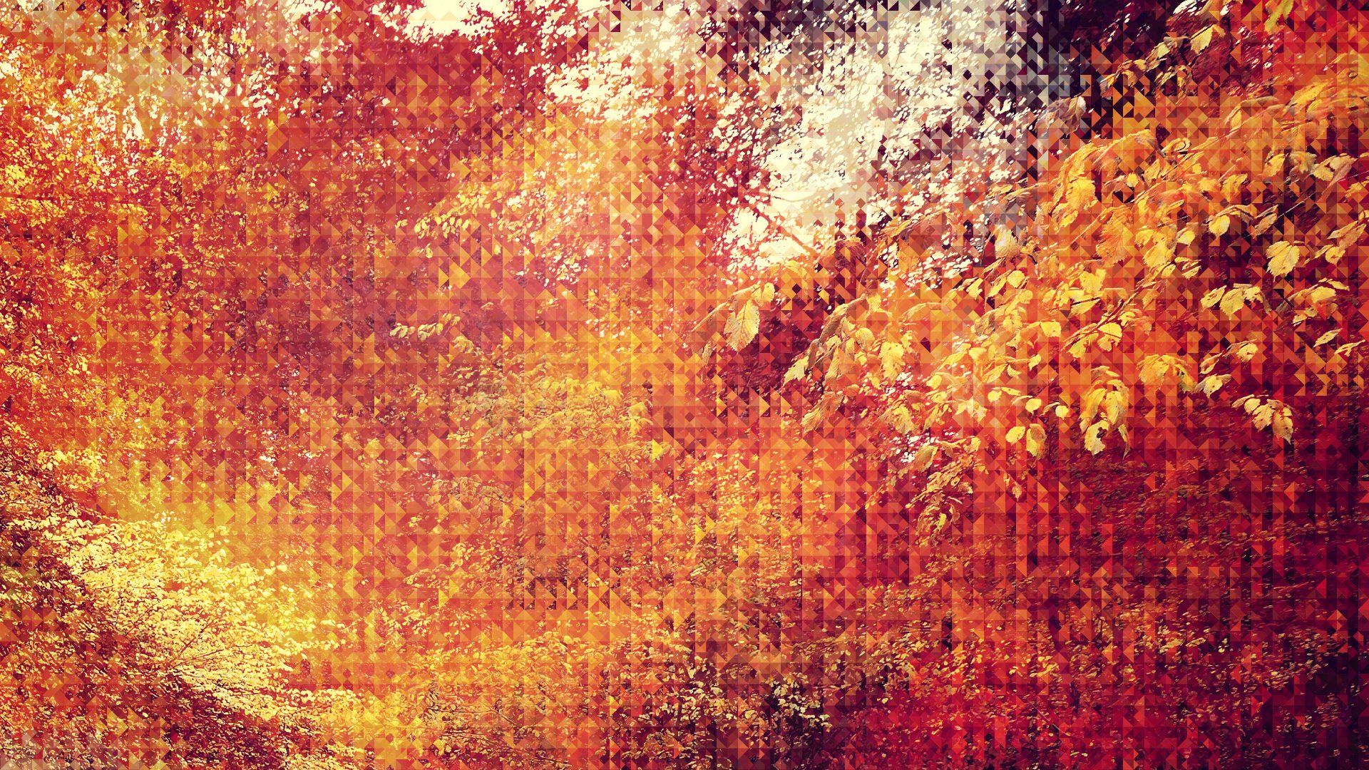 Fall Wallpaper For Android - HD Wallpaper 