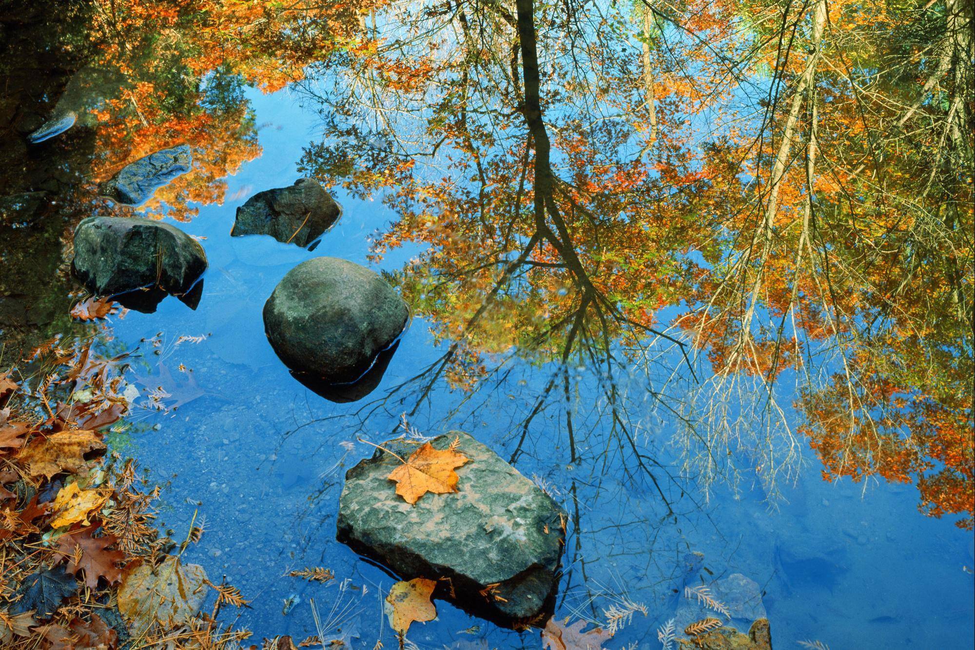 Fall Water Reflection - HD Wallpaper 