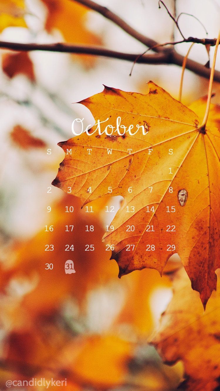 October Wallpaper Iphone - HD Wallpaper 