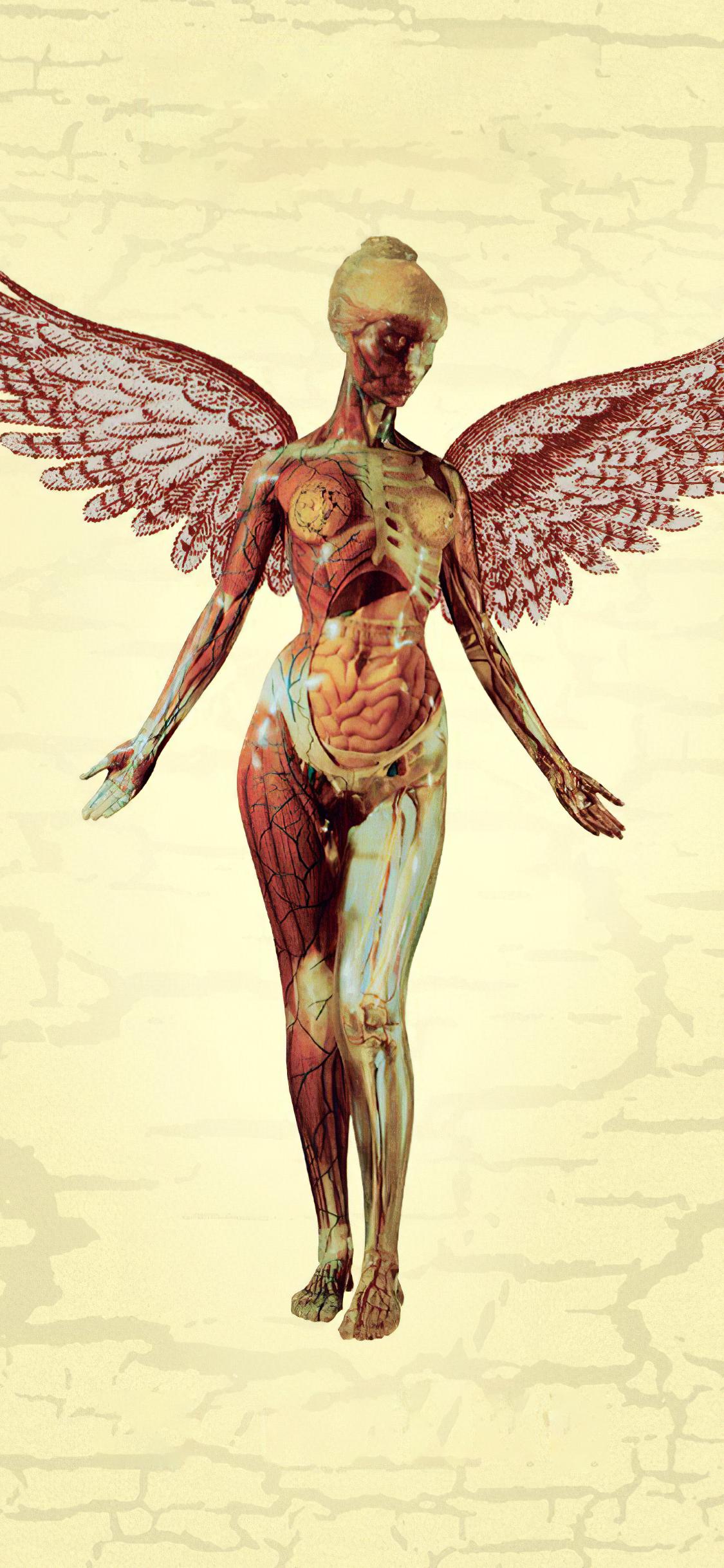 Nirvana In Utero Wallpaper Hd - HD Wallpaper 