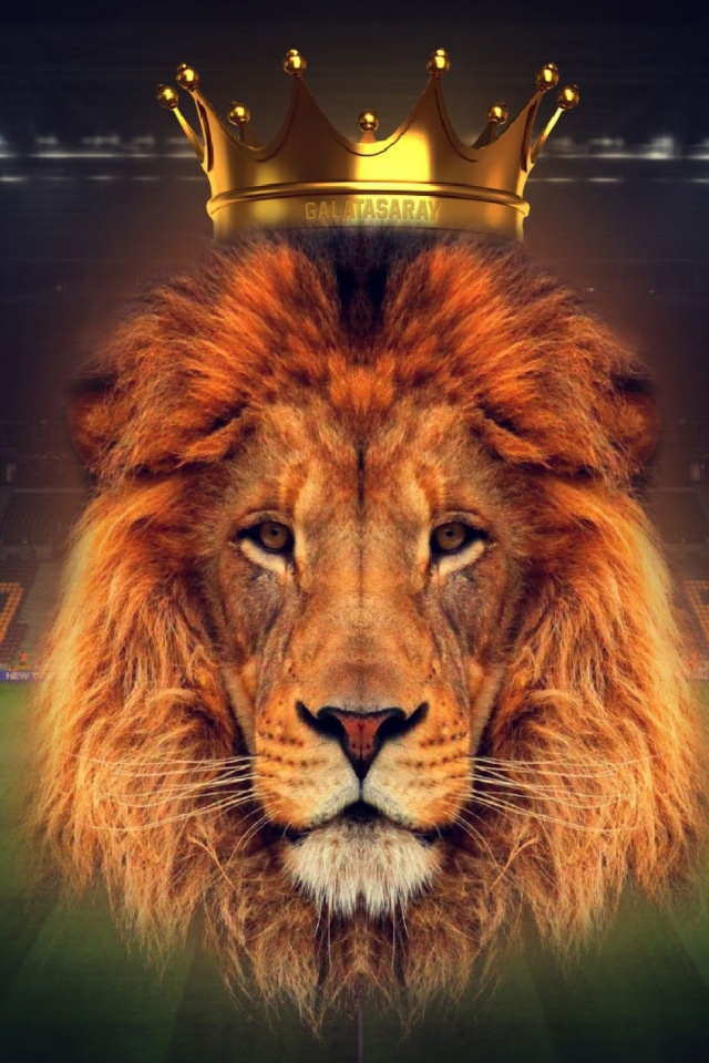 Wildlife Heritage Foundation - HD Wallpaper 