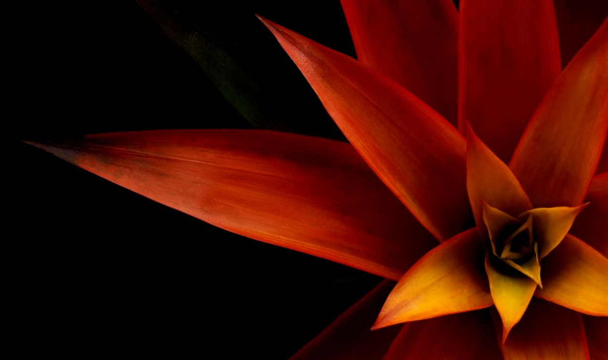 Dell Xps 4k Wallpapers Top Free Dell Xps 4k Backgrounds - Dell Xps Wallpaper 4k - 1229x729 Wallpaper Dell Xps 4k Wallpapers Top Free Dell Xps 4k Backgrounds - Dell Xps Wallpaper 4k - 1229x729 Wallpaper