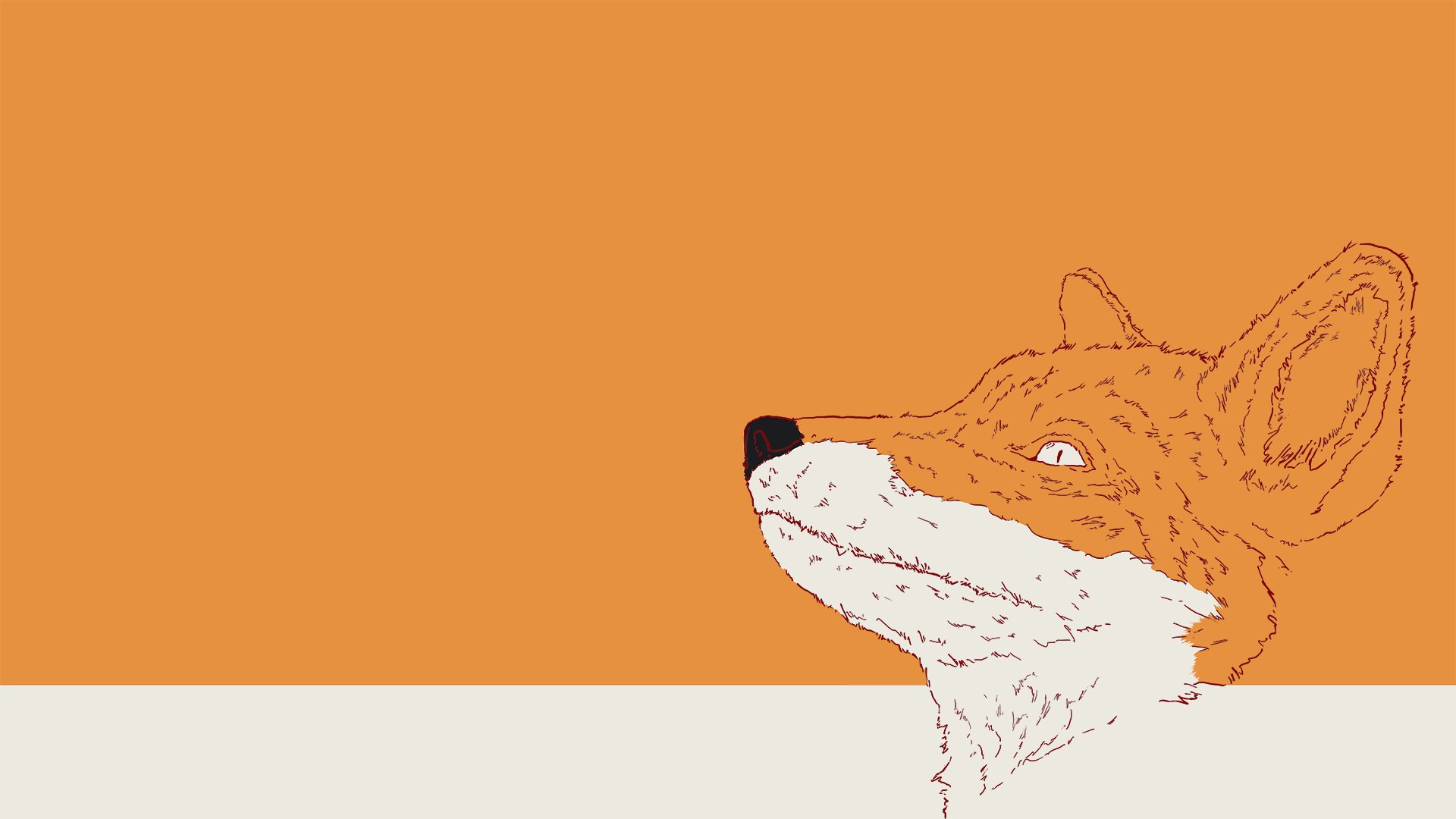 Foxy Lady Wallpaper - Red Fox - HD Wallpaper 