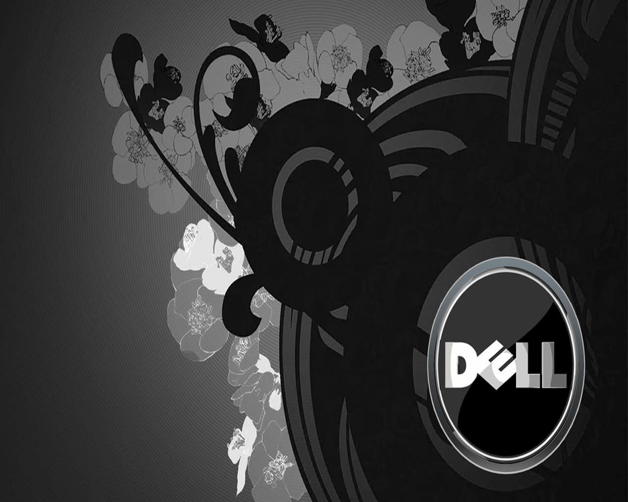 Dell Wallpaper - Best Wallpaper For Dell Laptop - HD Wallpaper 