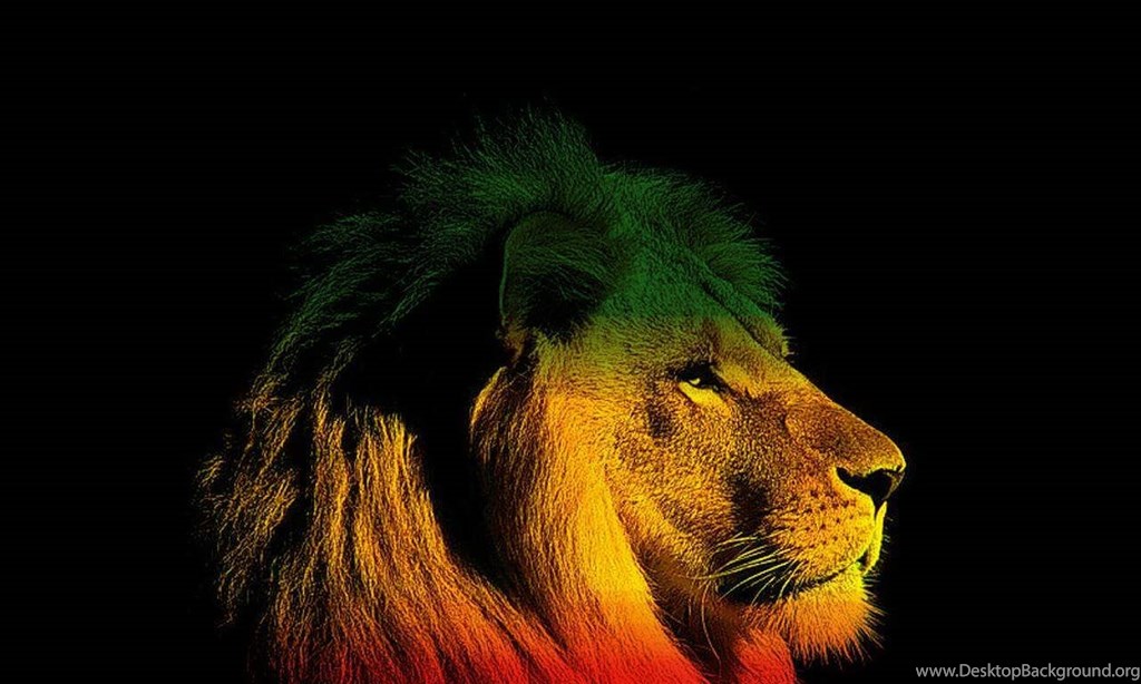 Reggae Lion Wallpaper - Lion Wallpaper Reggae - HD Wallpaper 
