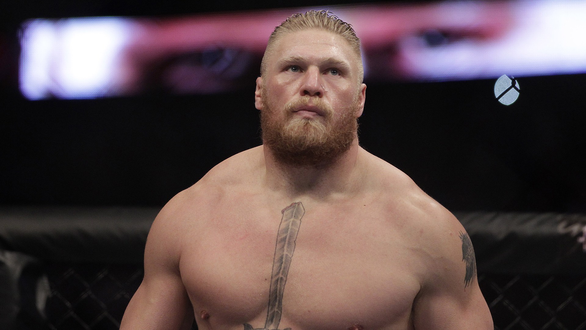 Brock Lesnar - HD Wallpaper 