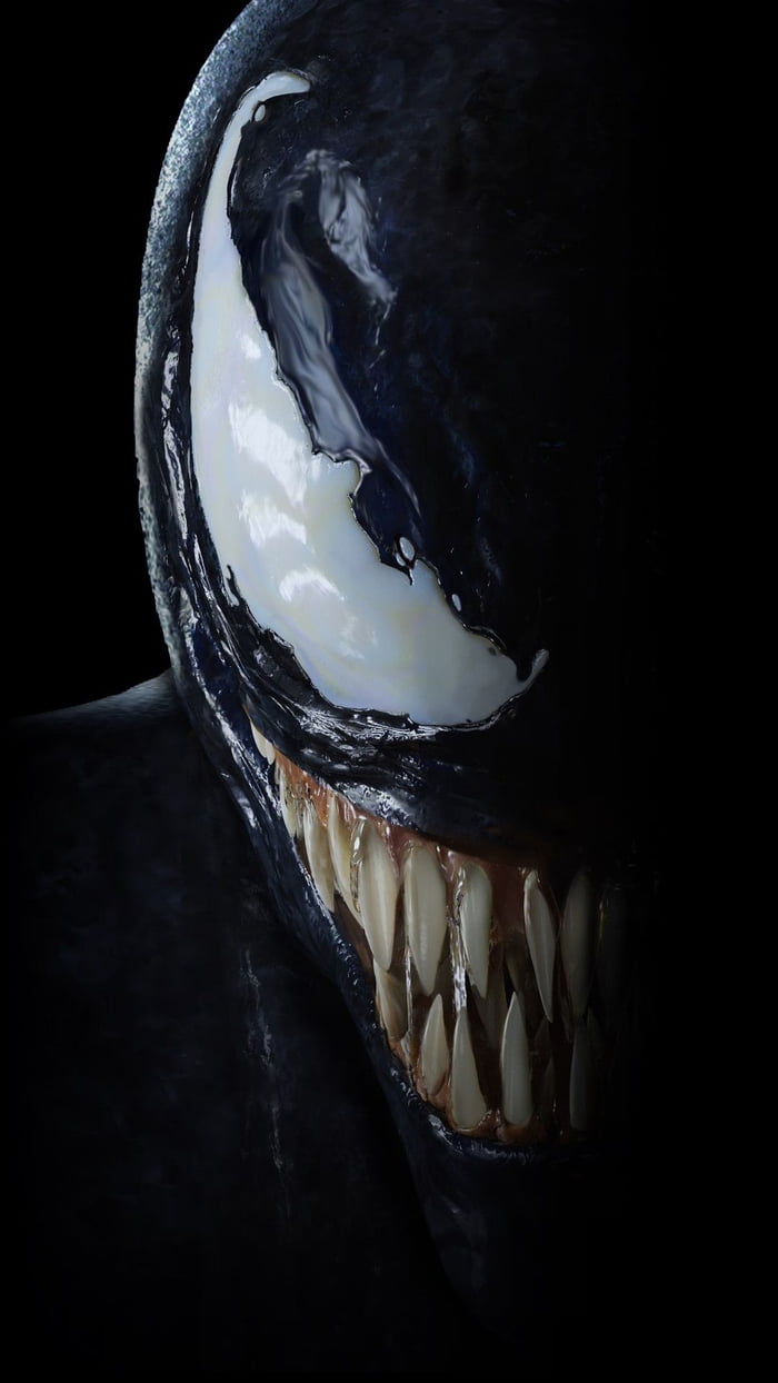 Skull - HD Wallpaper 