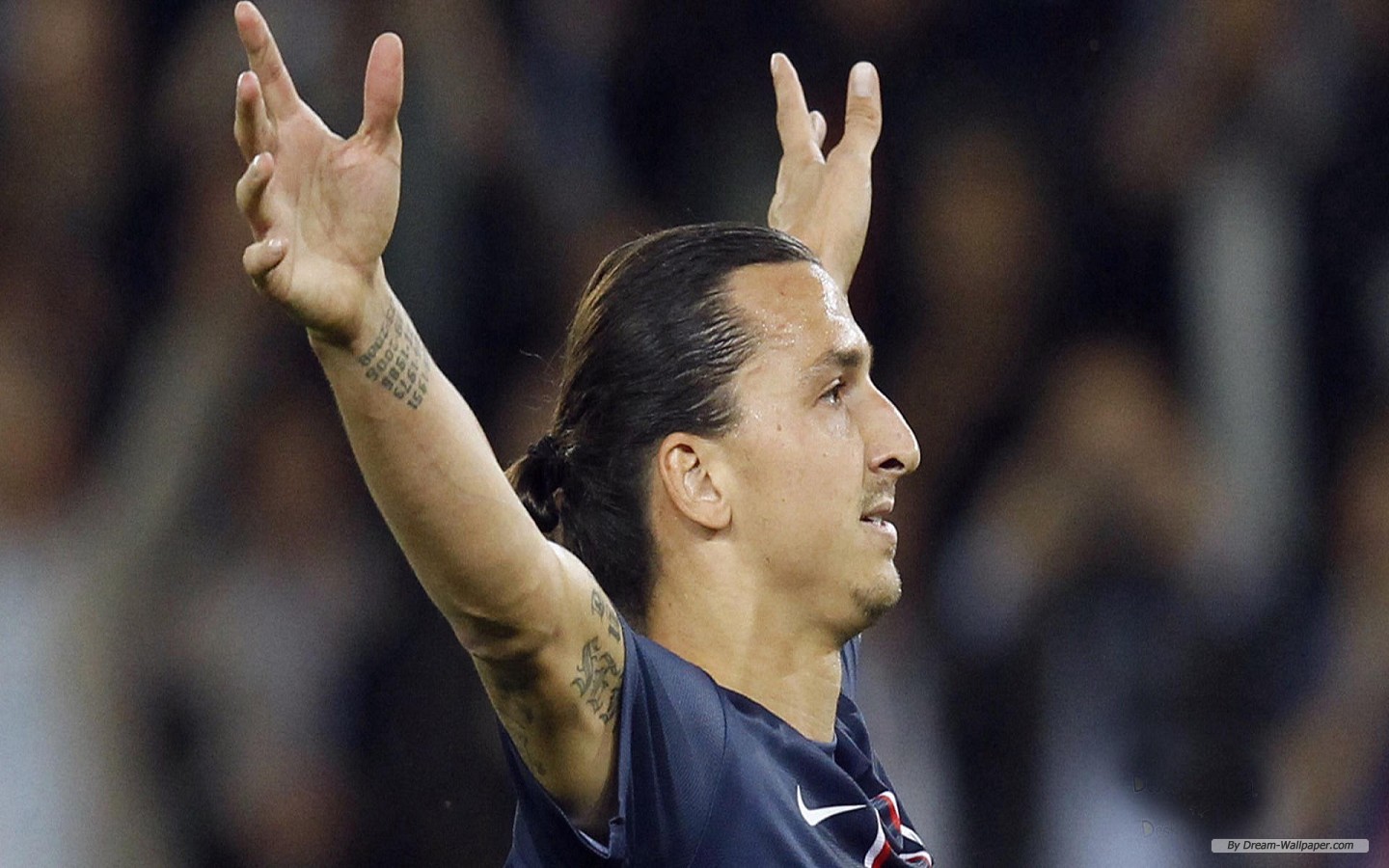 Free Sport Wallpaper - Zlatan Ibrahimović - HD Wallpaper 