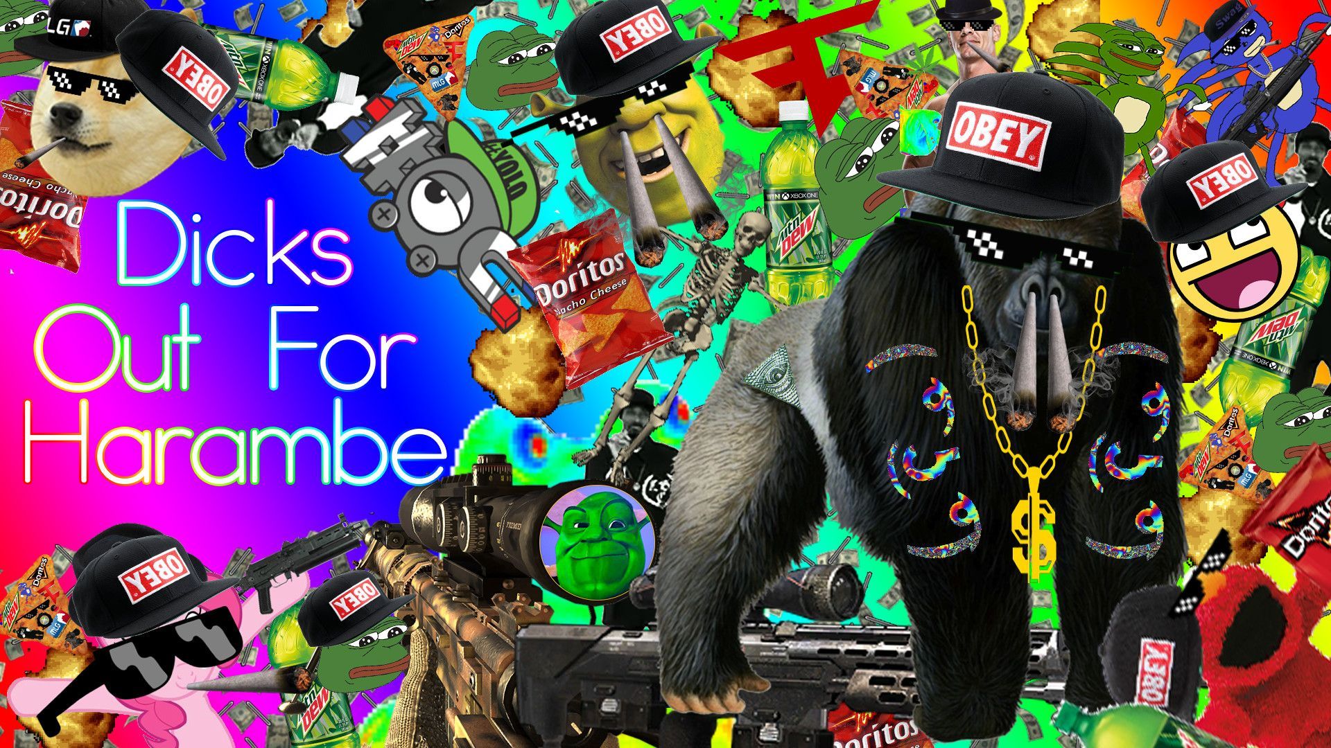 Mlg Wallpapers Hd 
 Data-src /large/5481139 - Mlg Background - HD Wallpaper 