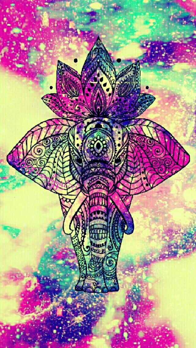 Elephant Wallpapers For Android - HD Wallpaper 