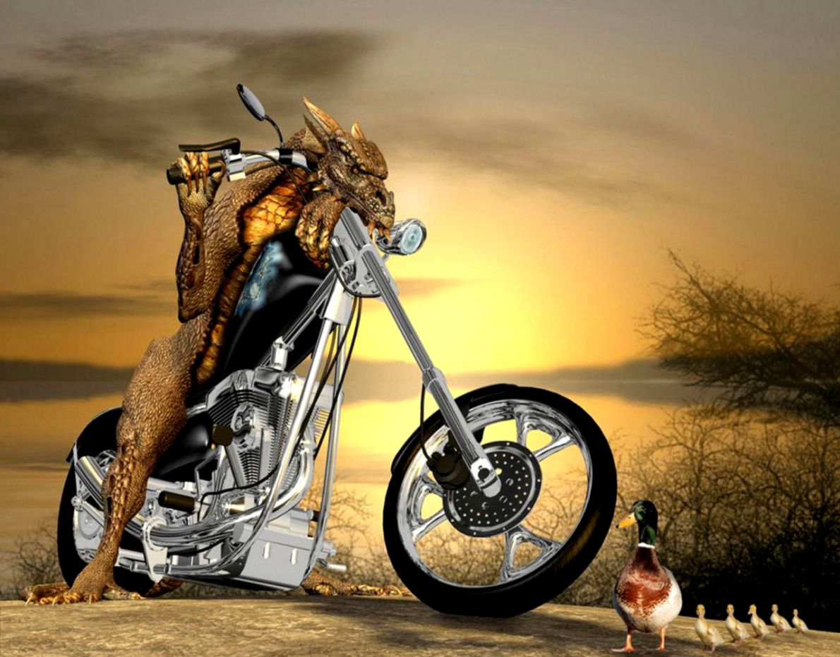 Funny Images Download Funnniest Gallery - Happy Birthday Biker Girl - HD Wallpaper 