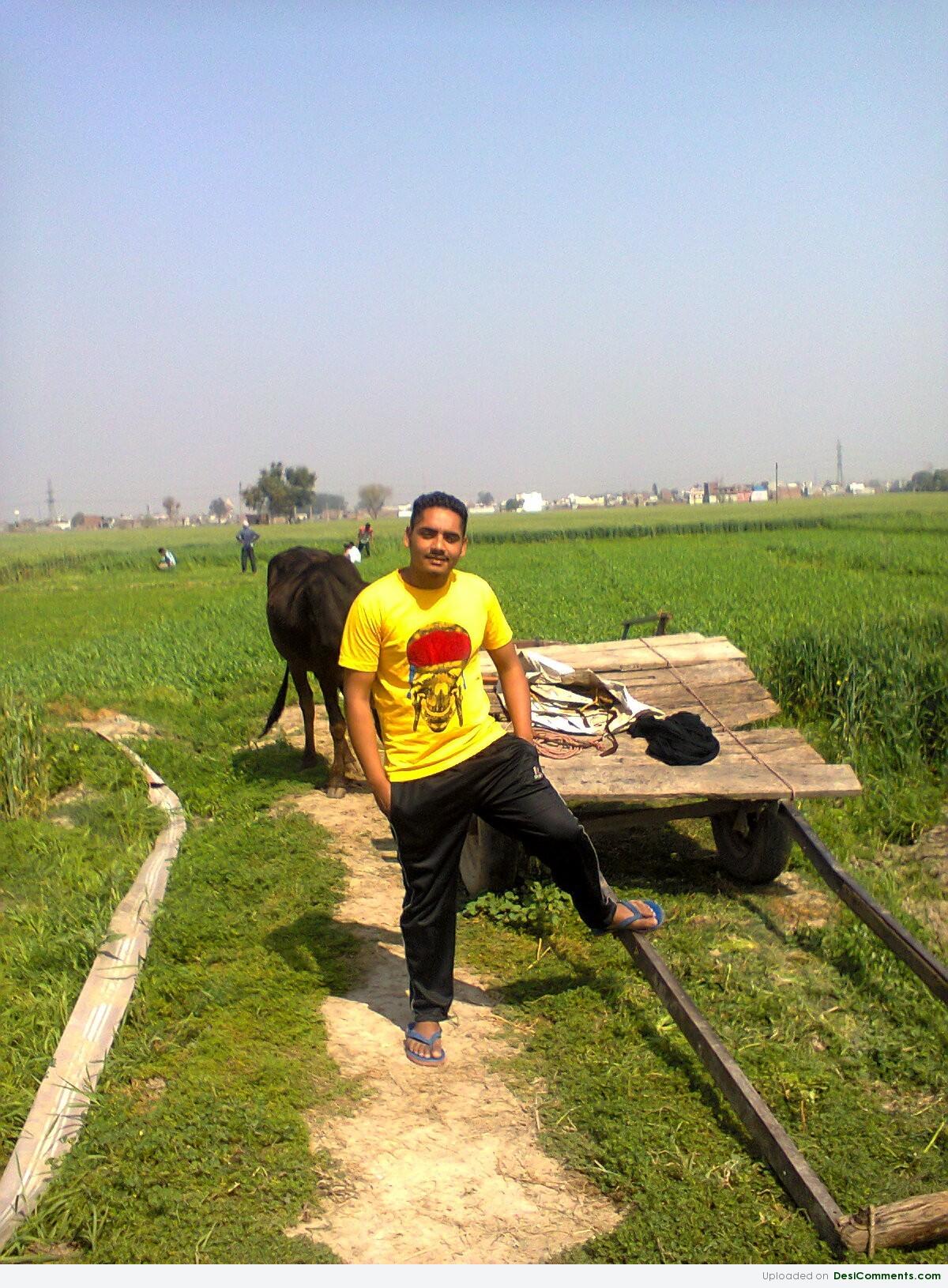 Desi Jatt Pictures - Grass - HD Wallpaper 