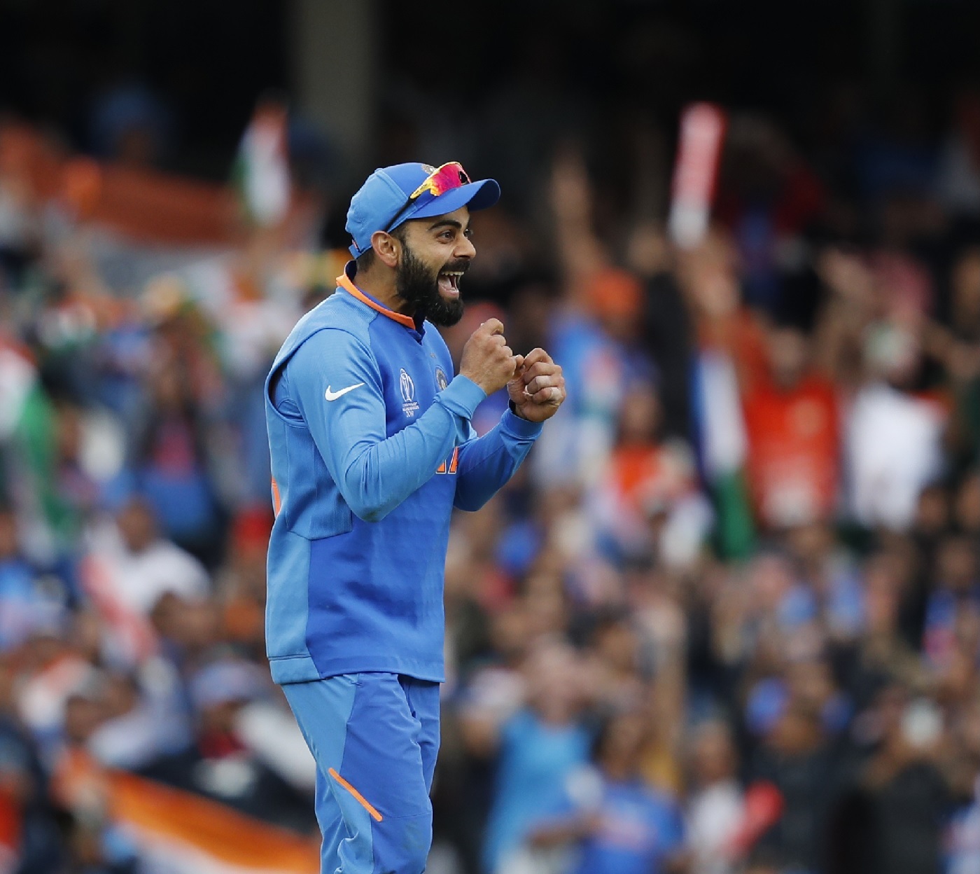 Virat Kohli Celebrates India S Win, Australia V India, - Virat Kohli Wallpaper Hd 2019 - HD Wallpaper 