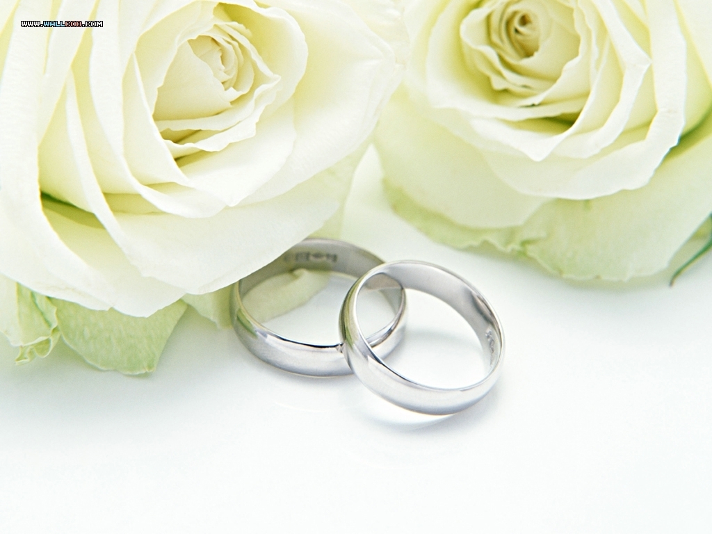 Wedding Wallpaper - Wedding Rings And Roses - HD Wallpaper 