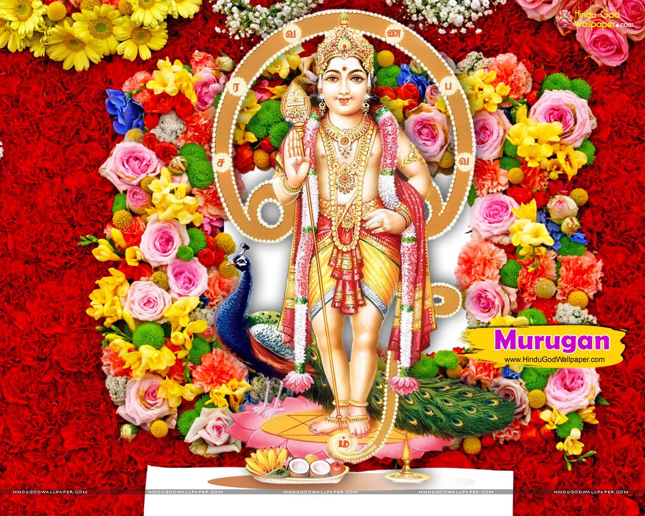 Lord Murugan - HD Wallpaper 