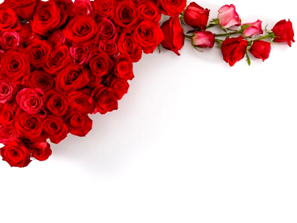 Red Roses Wedding Bouquet Hd Desktop Wallpaper High - High Resolution Red Rose Background - HD Wallpaper 