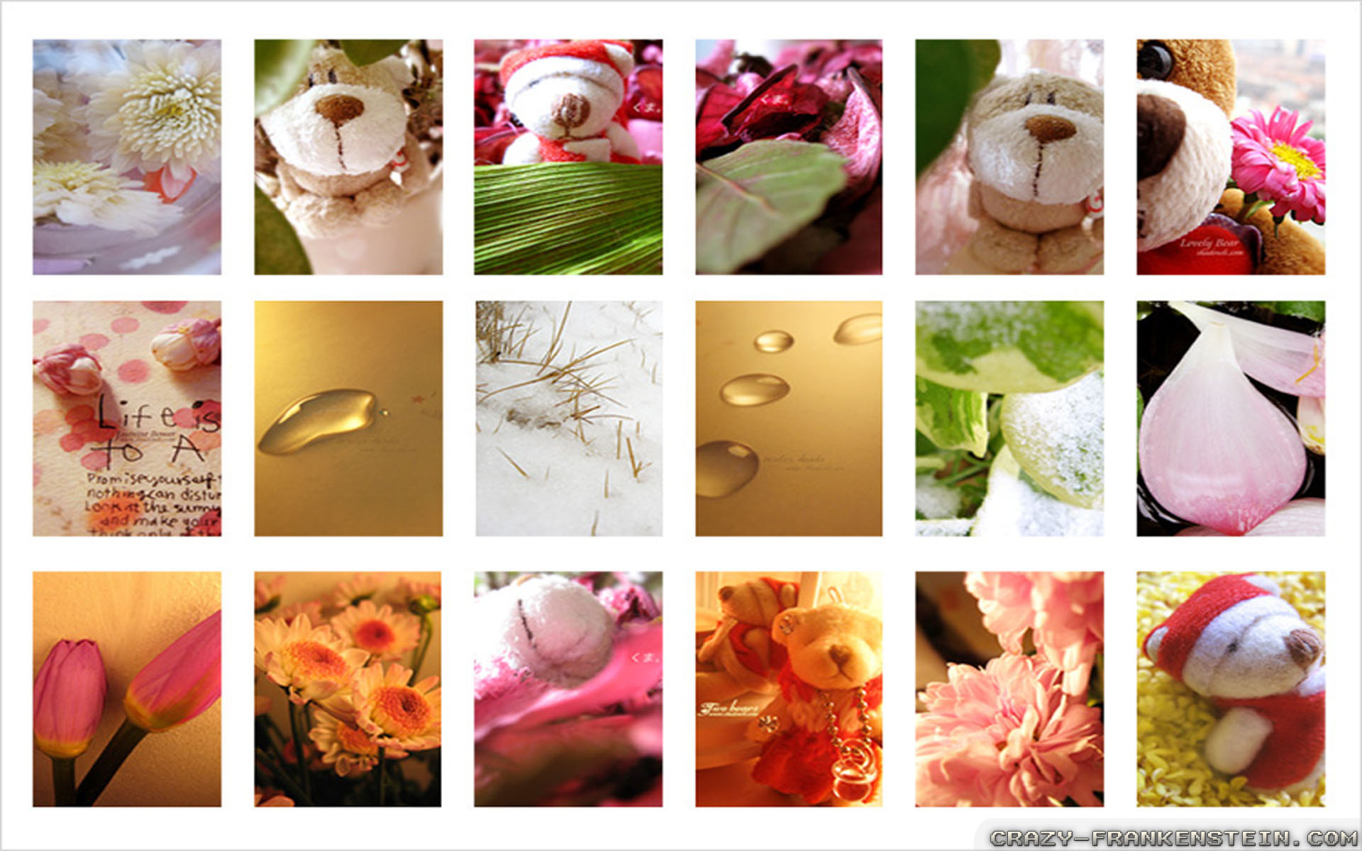 Collage - HD Wallpaper 