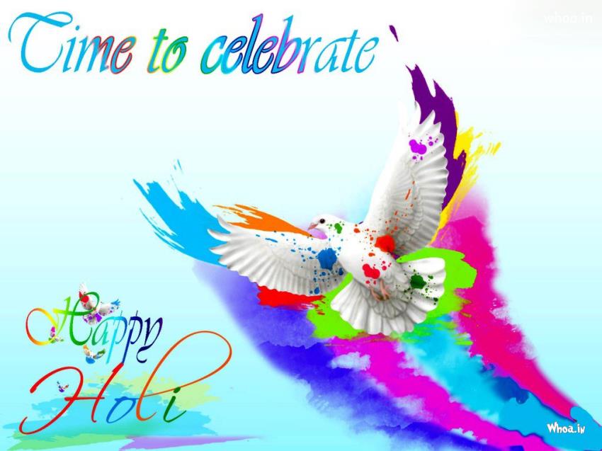 Colourful Pigeon Time To Celebrte Happy Holi Hd Wallpaper - Happy Holi Hd - HD Wallpaper 
