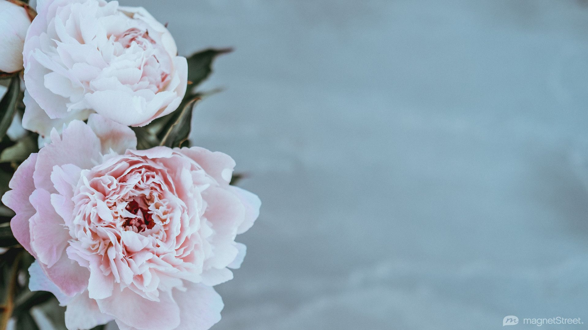 1920x1080, 1440 X 900 
 Data Id 341116 
 Data Src /walls/full/c/3/2/341116 - Wedding Wallpaper Hd - HD Wallpaper 