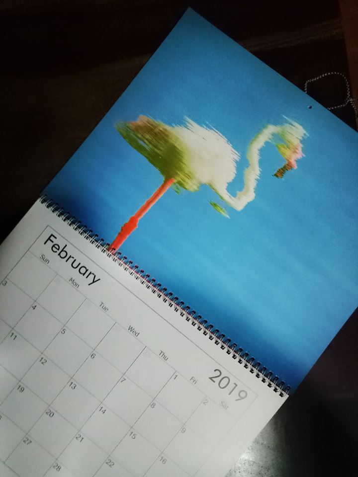 Dubai Flamingo Ras Al Khor - Visual Arts - HD Wallpaper 