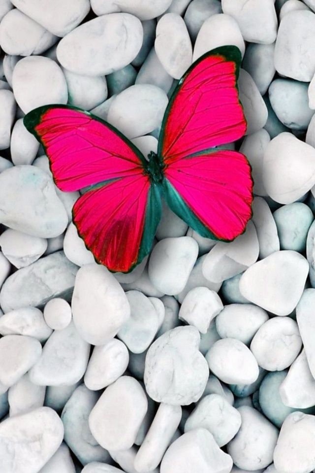 Mi Phone Wallpaper Download - 640x960 Wallpaper Mi Phone Wallpaper Download - 640x960 Wallpaper