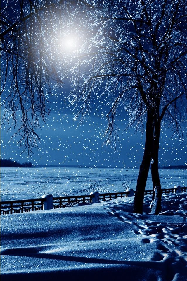 Winter Night Wallpaper For Mobile - HD Wallpaper 