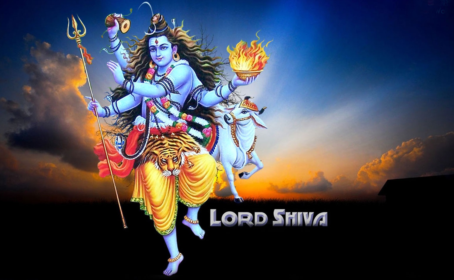 Lord Shiva Hd Wallpaper - Shiv Tandav Photo Download - 1548x954 Wallpaper -  