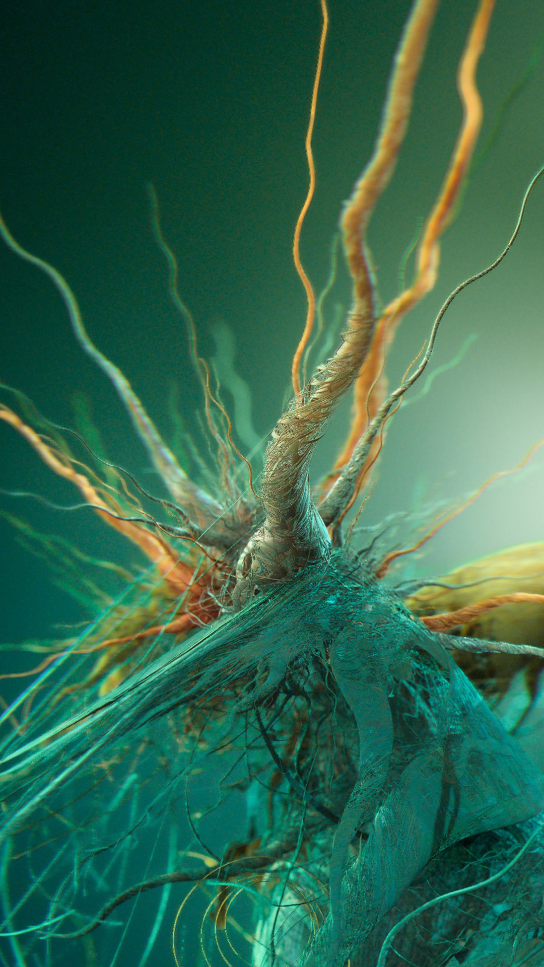 Growth Of Cubic Bacteria - HD Wallpaper 