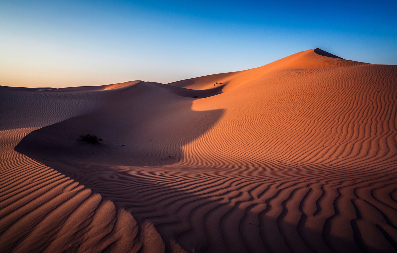 Photo Wallpaper Desert, Abu Dhabi, Uae - Abu Dhabi Wallpaper 4k - HD Wallpaper 