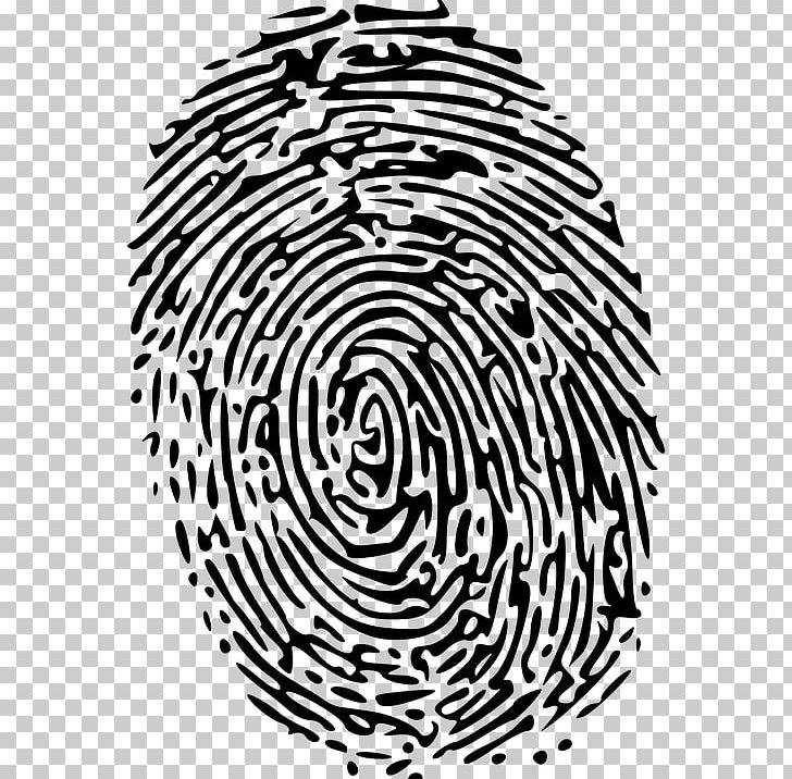 Fingerprint Green Png, Clipart, Black And White, Blue, - Forensic Science Clip Art - HD Wallpaper 