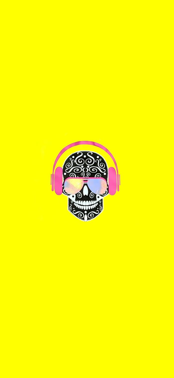 Skull - HD Wallpaper 