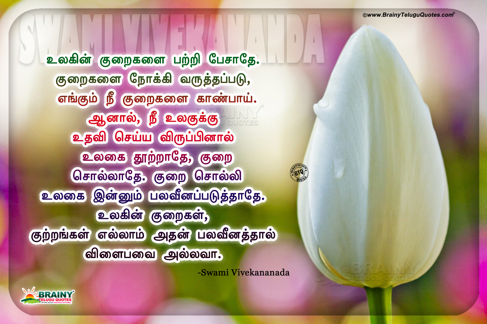 Tamil Vivekananda Quotes, Swami Vivekananda Inspiring - Tulip - HD Wallpaper 