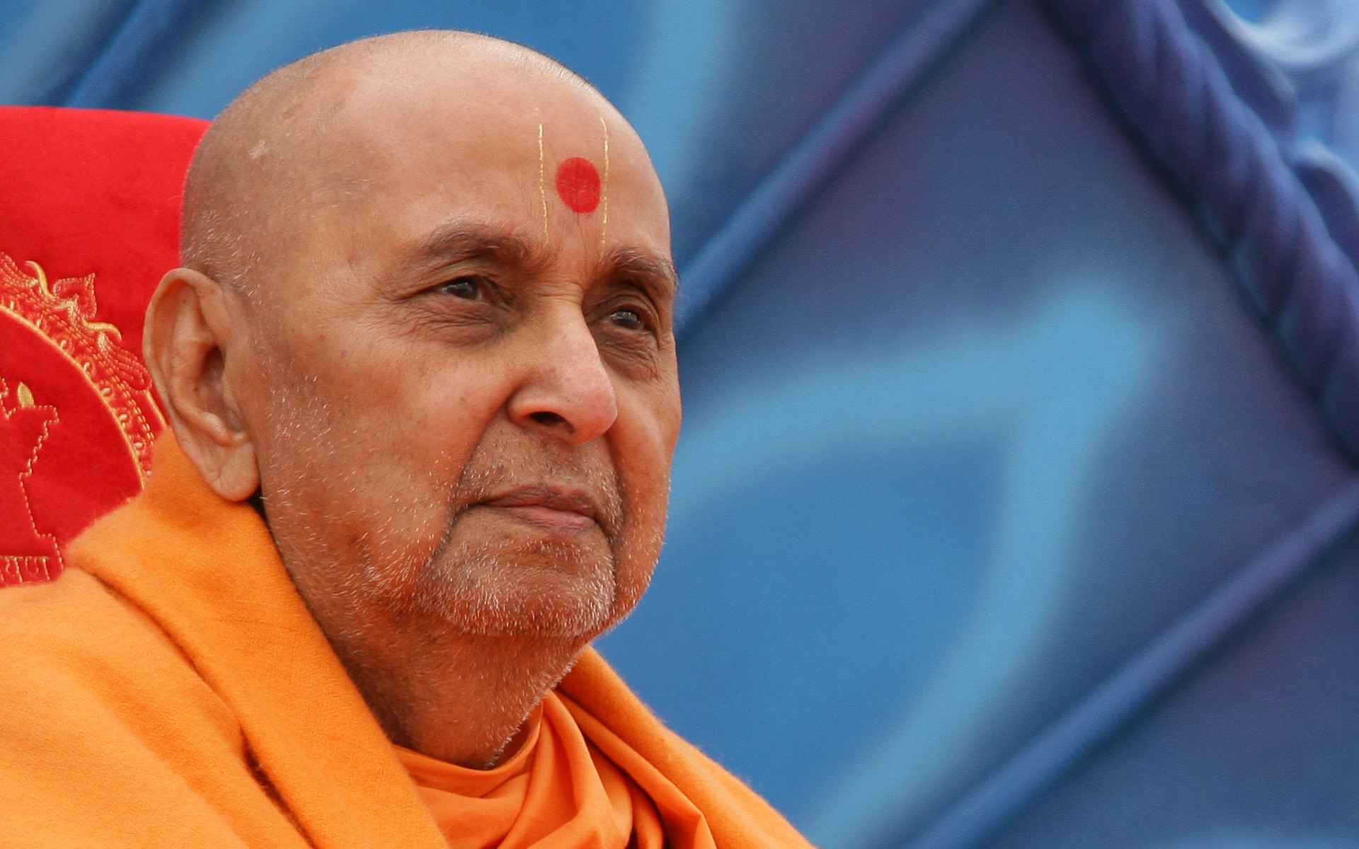 Elder - HD Wallpaper 