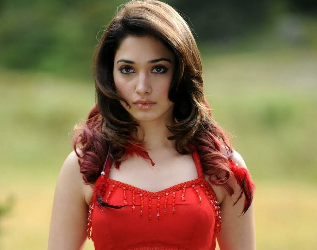 Tamanna Bhatia - HD Wallpaper 