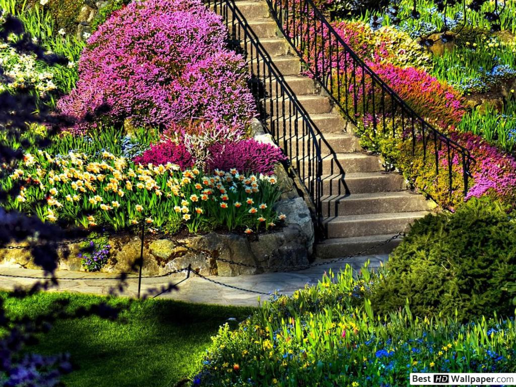 Bunte Pflanzen - HD Wallpaper 