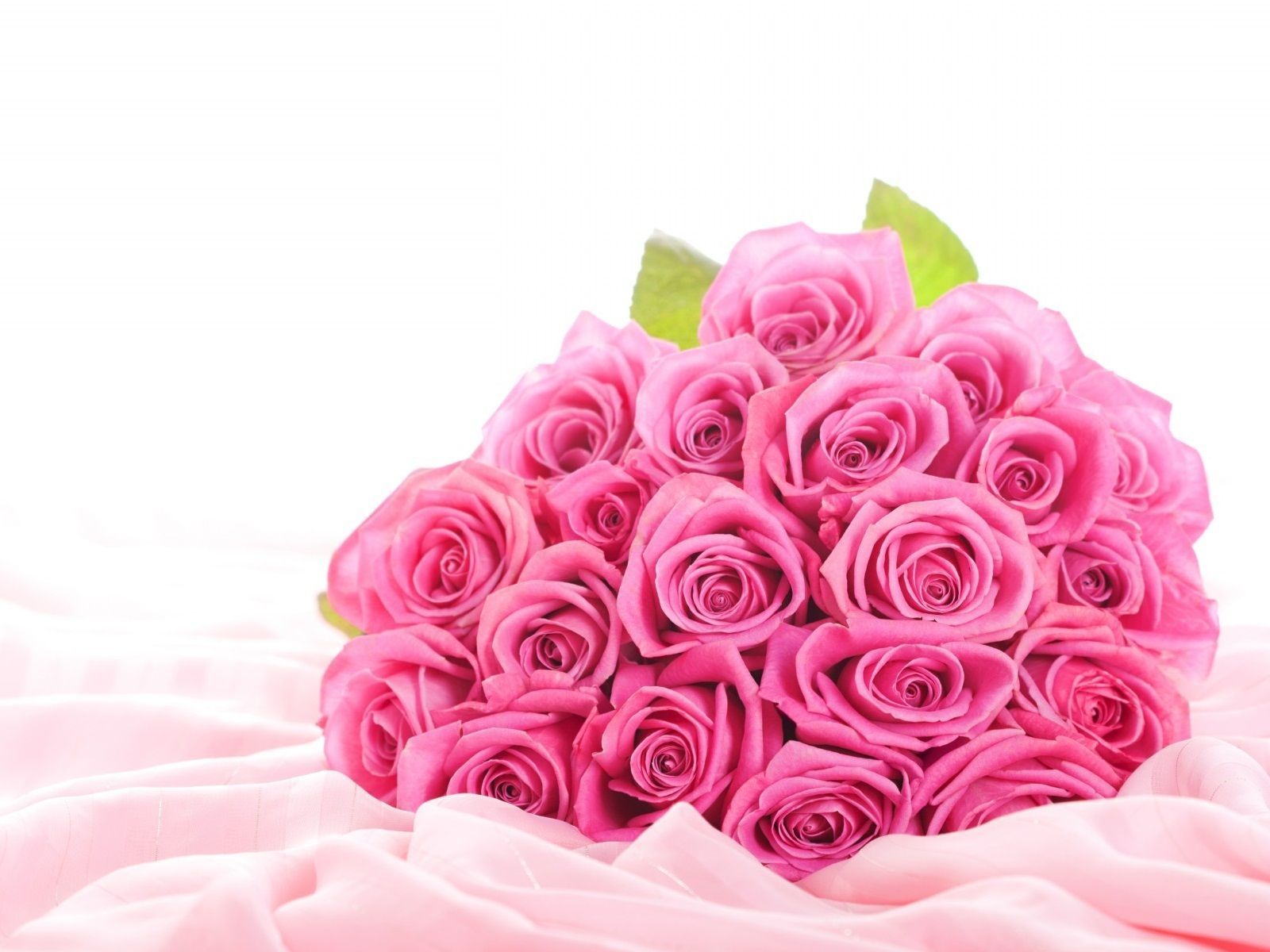 Beautiful Pink Roses Hd Flower Wallpaper Cool Hd Wallpapers - Beautiful Pink Rose Flower - HD Wallpaper 