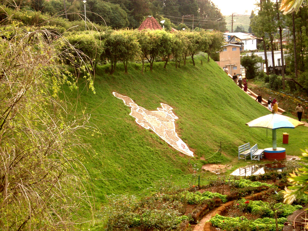 Ooty Image - Ooty Rose Garden - HD Wallpaper 