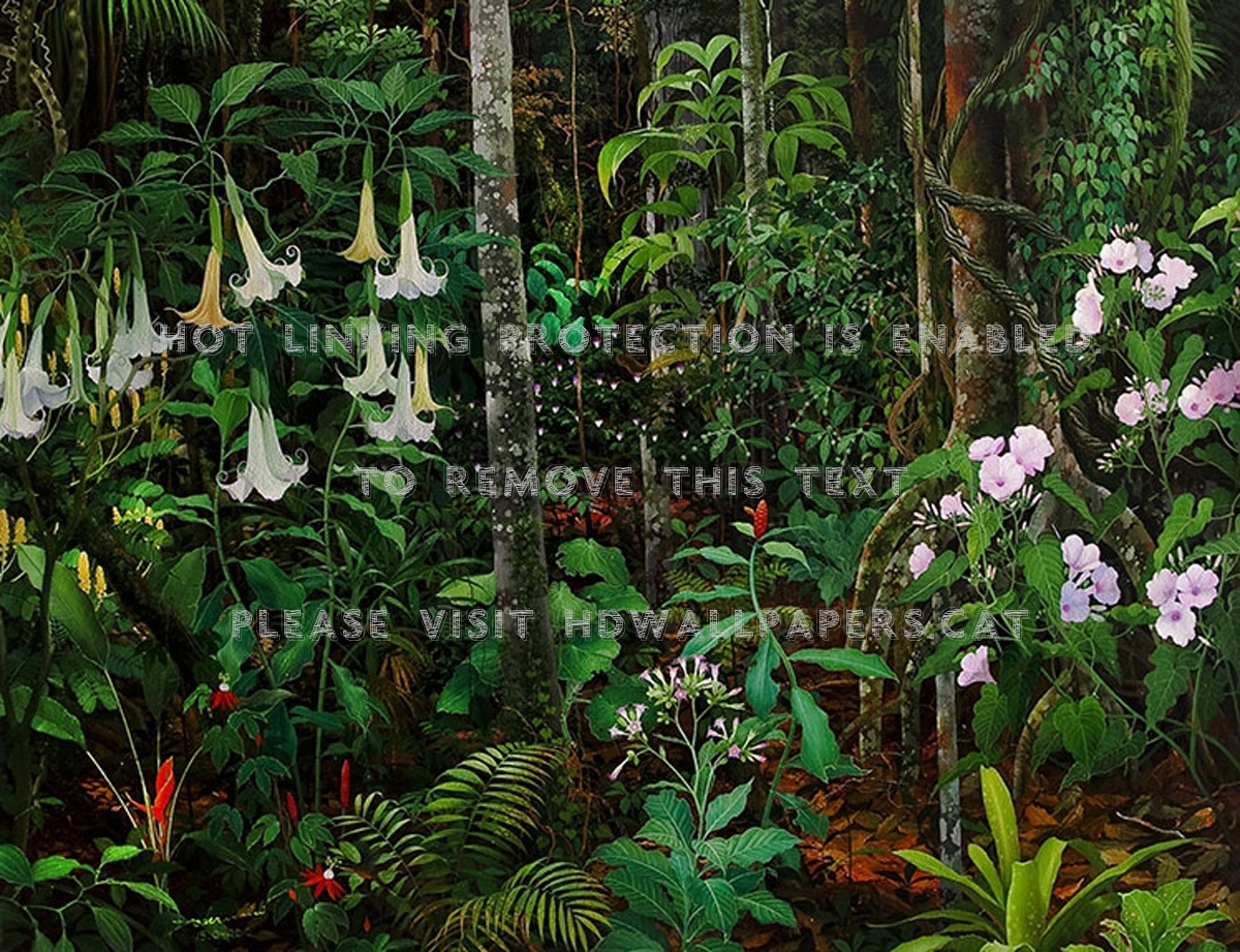 Magic Forest Flowers Secret Garden Nature - Anderson Debernardidel - HD Wallpaper 