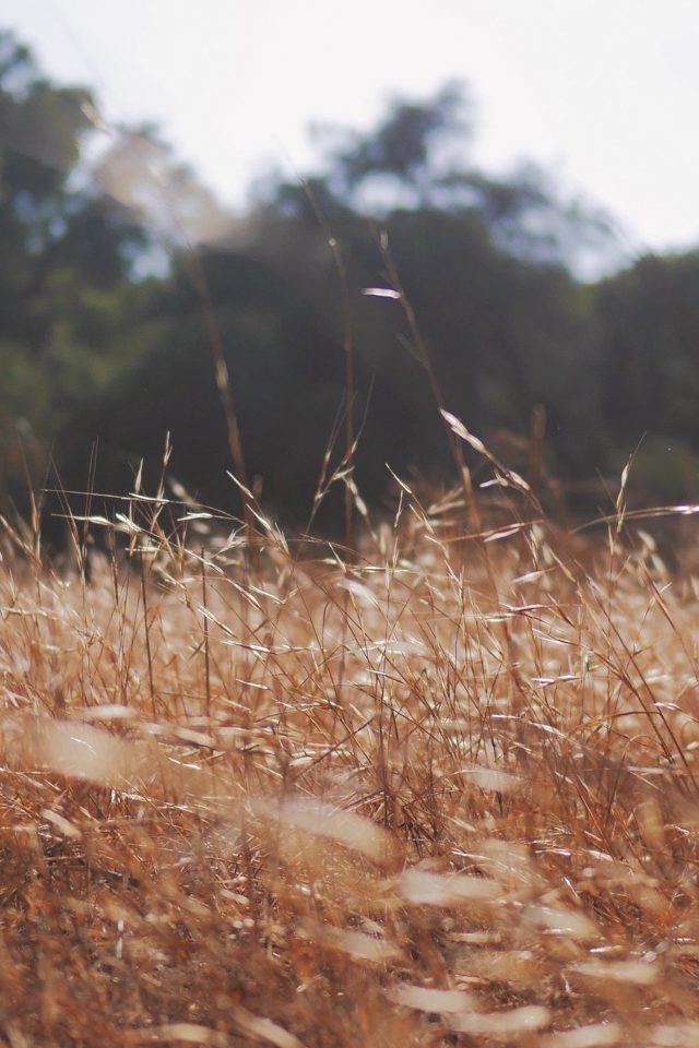 Cool Iphone - HD Wallpaper 