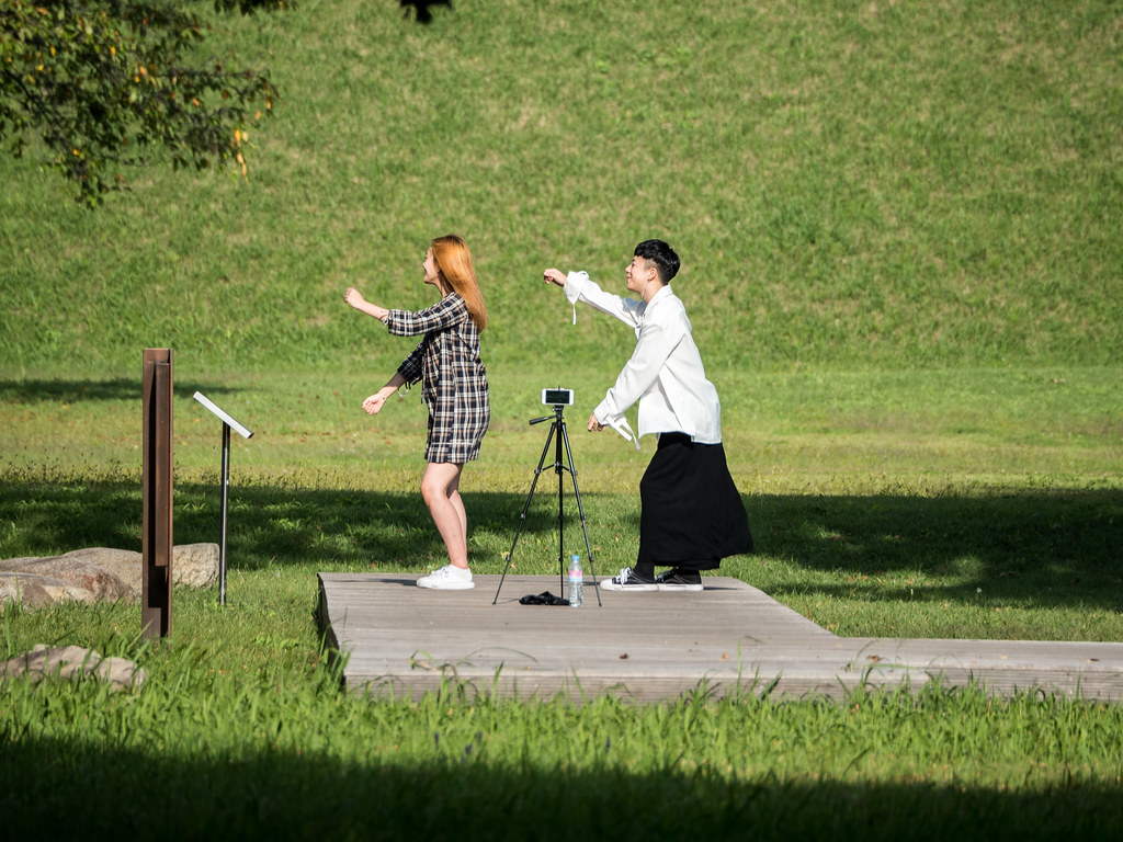 Grass - HD Wallpaper 