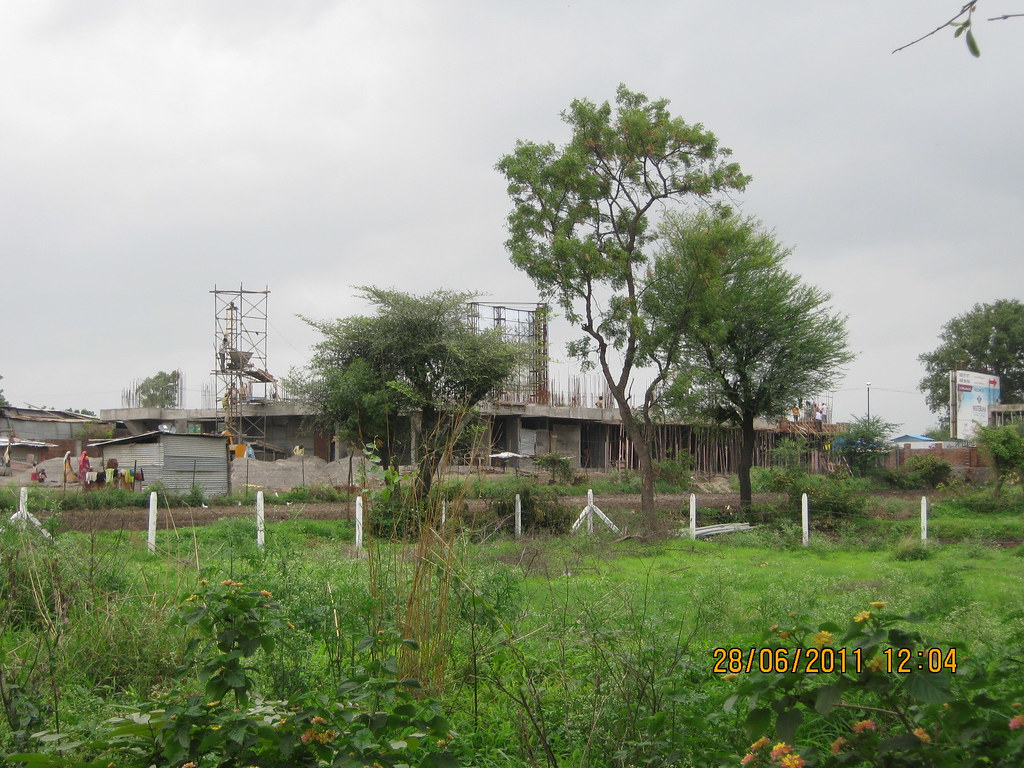 Adansonia - HD Wallpaper 