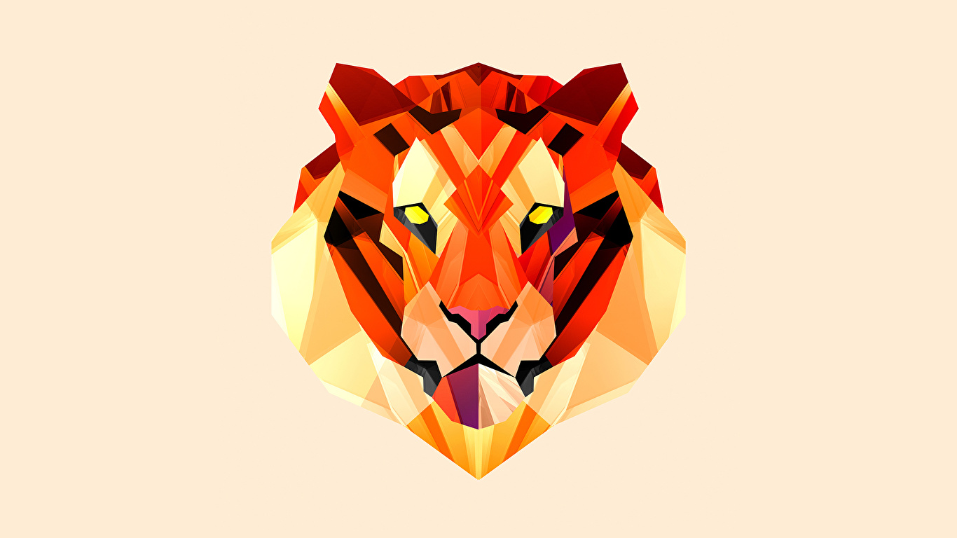 Justin Maller Tiger - HD Wallpaper 