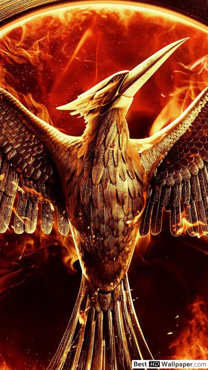 Hunger Games - HD Wallpaper 