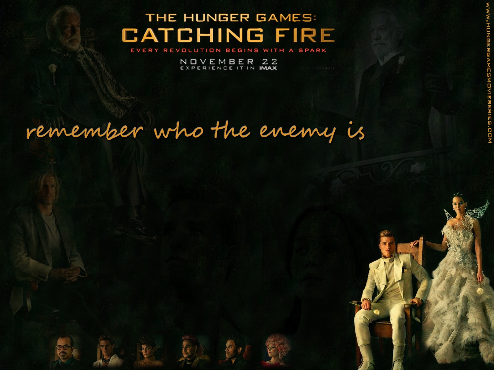 The Hunger Games Catching Fire Wallpaper - HD Wallpaper 