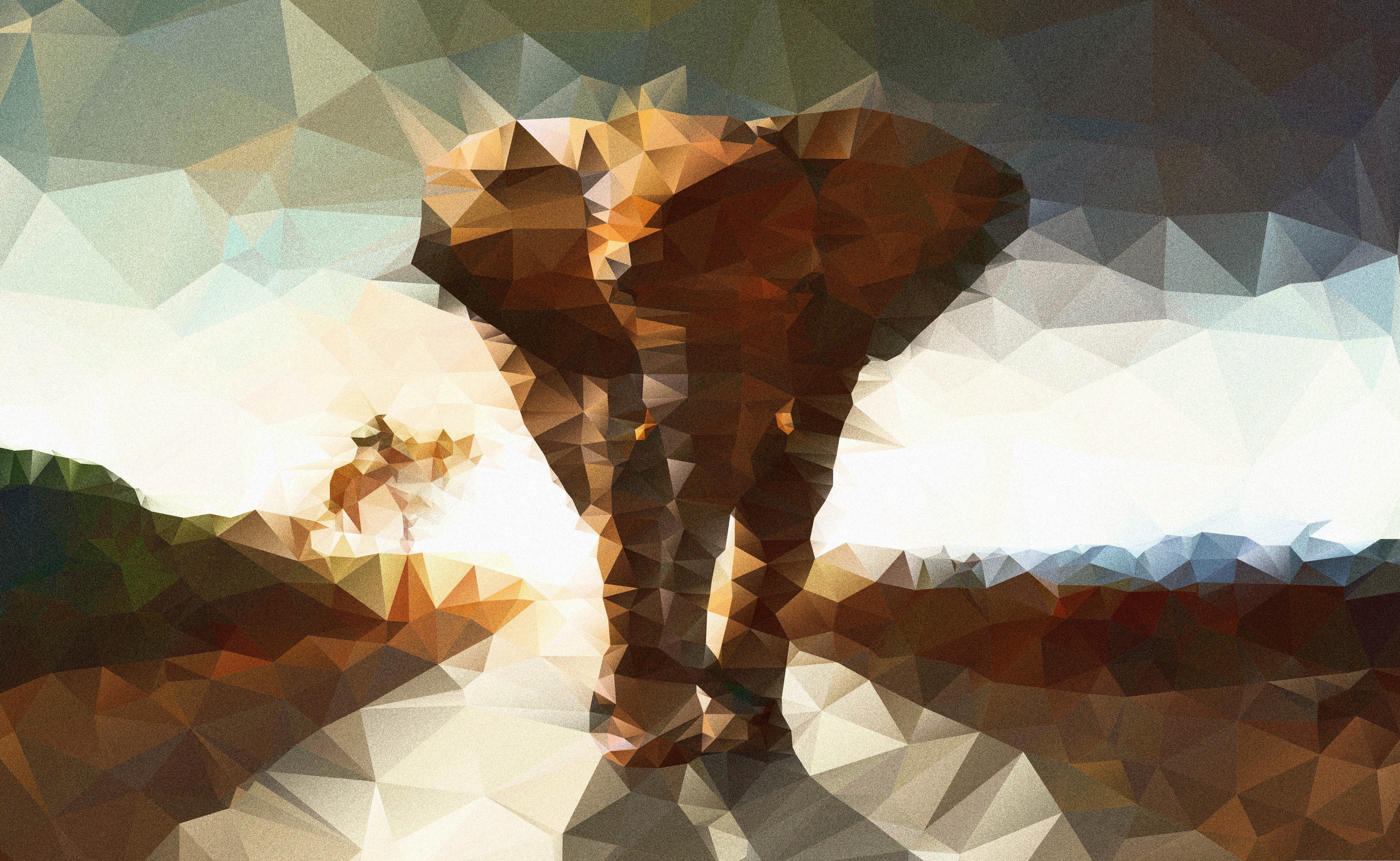 Polygon Elephant - HD Wallpaper 