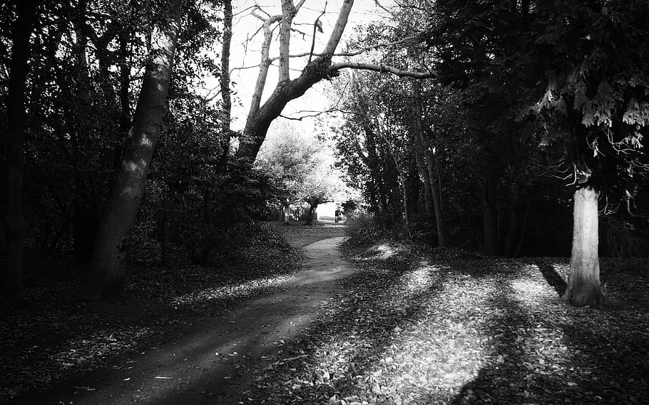 United Kingdom, Gosport, Mono, Mono Chrome, Chromatic, - Dirt Road - HD Wallpaper 