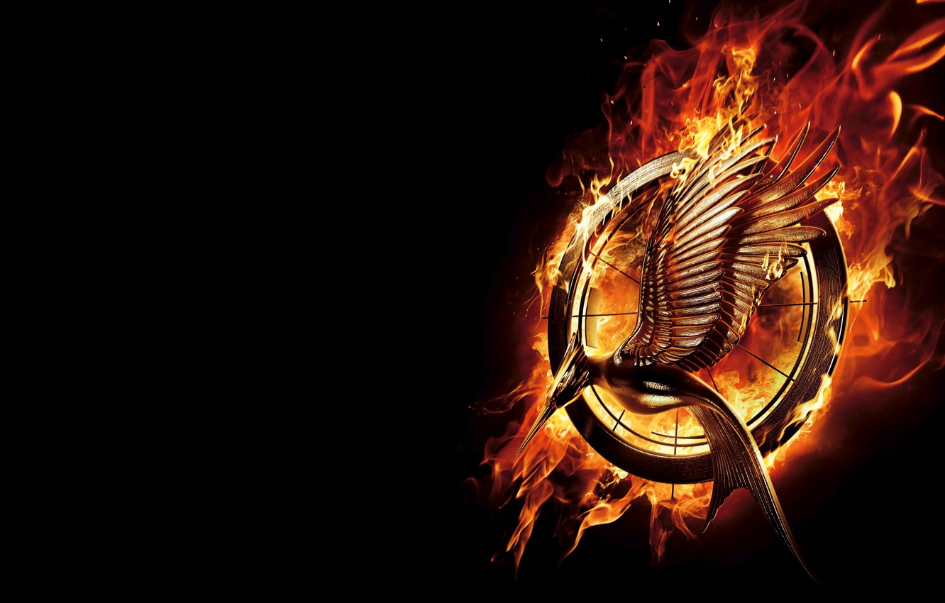 Photo Wallpaper Fire, Emblem, Katniss Everdeen, Katniss - Скачать Сойка Пересмешница Обои Для Рабочего Стола - HD Wallpaper 