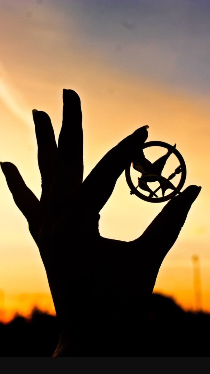 Los Juegos Del Hambre - HD Wallpaper 